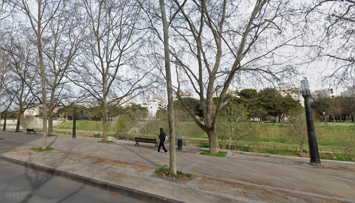 Platanes de l'avenue du Pirée à Montpellier. (Capture d'écran/Google Maps)