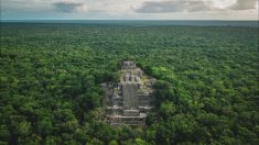 Une immense cité maya découverte après une simple recherche sur Google