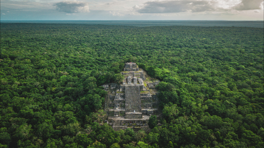 Une immense cité maya découverte après une simple recherche sur Google