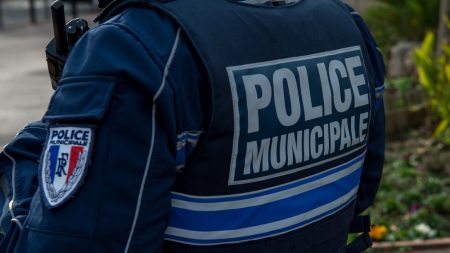 Un clandestin sous OQTF blesse et menace de mort des policiers à Nice