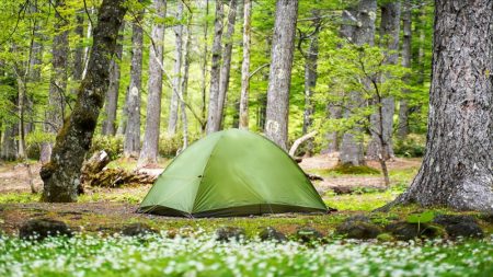 Vosges : un enfant de 10 ans retrouvé mort près d’un étang, intoxiqué au monoxyde de carbone