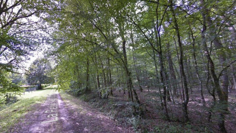 "des promeneurs ont signalé la présence d'un sac en lisière d'un bois dans une forêt près de Blois. (Photo d'illustration Google Street View) 