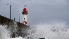 Insolite: elle accouche à bord du bateau entre l’île de Groix et Lorient avec des conditions de mer difficiles