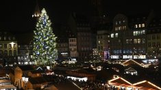 Strasbourg : la décoration du sapin de Noël, avec sa guirlande de feuilles blanches, laisse perplexe