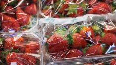 Intermarché cesse de vendre des fraises et des cerises en hiver