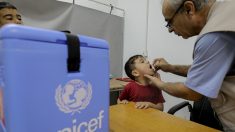 L’avenir des enfants de 2050 « en péril », alerte l’Unicef