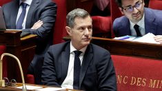 « Un étranger criminel ou délinquant n’a rien à faire en France et doit être expulsé », déclare le ministre délégué à la Sécurité du quotidien