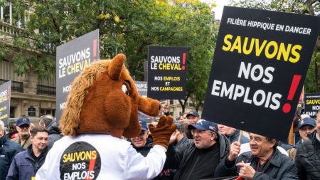 « Halte à la taxe » : la filière hippique n’a pas assuré les courses jeudi, pour raison de grève