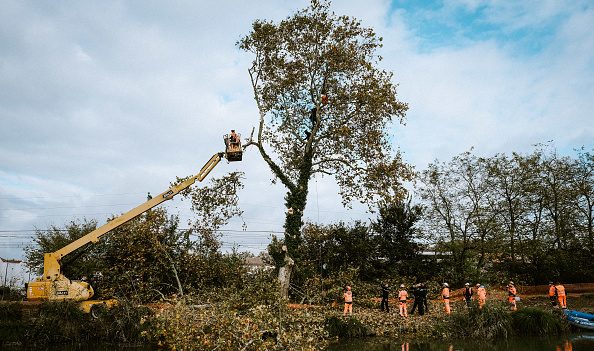 Haute-Garonne : des dizaines d’arbres coupés sur le tracé de la LGV Toulouse-Bordeaux malgré les « écureuils »