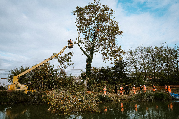 Des ouvriers coupent des branches d'un arbre occupé par deux écureuils (surnom donné aux grimpeurs) lors de l'opposition de militants écologistes à l'abattage d'arbres bordant le Canal latéral à la Garonne et devant accueillir la future Ligne à grande vitesse (LGV) reliant Toulouse à Bordeaux à Saint-Jory. (PAT BATARD/Hans Lucas/AFP via Getty Images)