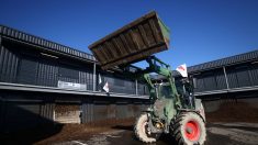 Mercosur : des agriculteurs déverse des déchets devant le centre des impôts de Tarascon