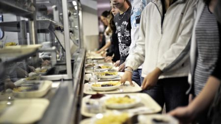 Près de Lyon : des parents d’élèves dénoncent le menu unique dans les cantines, la justice leur donne raison