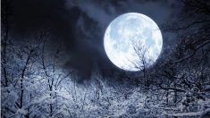 Une pleine « lune froide » ornera le ciel nocturne quelques jours avant Noël, et la « lune noire » en décembre également