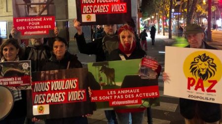 Condition animale : France Télévisions précurseuse en limitant l’emploi d’animaux sur les tournages