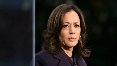 Kamala Harris est le premier choix des démocrates en vue de l’élection présidentielle de 2028