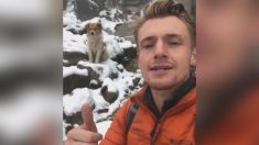 Perdu à 4600 m d’altitude lors d’une ascension au Pérou, un randonneur retrouve son chemin grâce à un chien errant