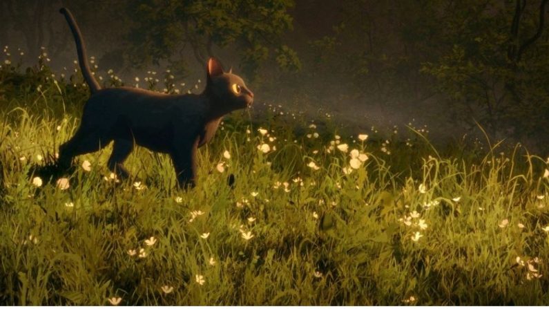 Un chat affronte le monde après une inondation, dans le long métrage « Flow ». (Studio Dream Well)