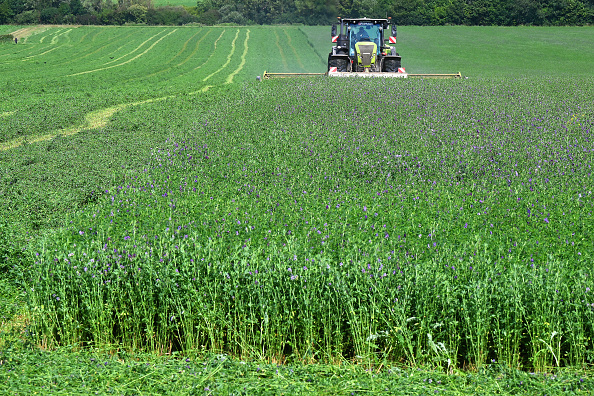 Les microplastiques omniprésents dans les sols français à vocation agricole