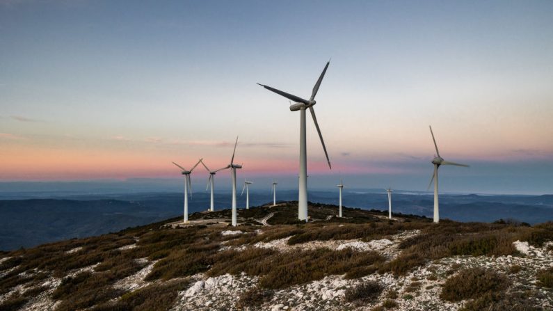 Les éoliennes du Mont Tauch depuis le sommet du Mont Tauch à Tuchan dans le département de l'Aude dans le sud de la France le 23 octobre 2024. (JC MILHET/Hans Lucas/AFP via Getty Images)