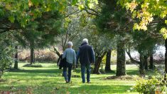 Retraite : les pensions de base vont être revalorisées de 2,2% ce mercredi