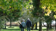 Retraite : les pensions de base vont être revalorisées de 2,2% ce mercredi