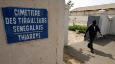 Sénégal : un ministre provoque un tollé en traitant les tirailleurs de « traîtres »