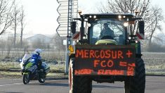 « On veut que ça avance » : les agriculteurs envisagent de « durcir » leur mouvement et rencontrer « tous les députés »