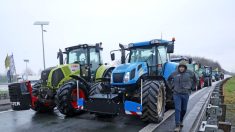 Nord : autoroute A2 coupée, les agriculteurs français et belges organisent des barrages filtrants