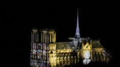 Pharrell Williams, Lang Lang, Vianney, Michaël Canitrot…  ont participé au concert à Notre-Dame