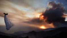 Malibu ravagé par les flammes, un incendie qui ne cesse de progresser, obligeant des milliers de personnes à évacuer