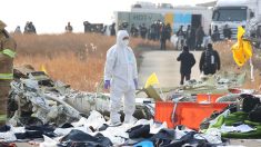 Crash aérien en Corée du Sud : les boîtes noires en cours d’exploitation, tandis que les inspections se focalisent sur le train d’atterrissage