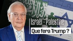 Israël – Palestine: que fera Trump ?