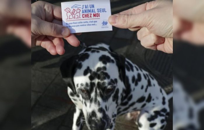 Vos animaux pris en charge en cas d’hospitalisation, avec la carte « J’ai un animal seul chez moi » à Amiens (Somme). © Amiens Métropole