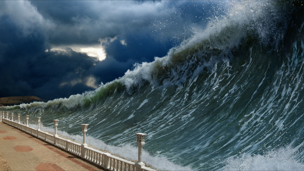 "Les failles sont actives en Méditerranée" : la Côte d'Azur sous la menace d'un tsunami dévastateur