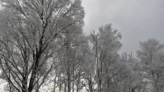 De la neige industrielle observée dans plusieurs départements en France : de quoi s’agit-il au juste ?