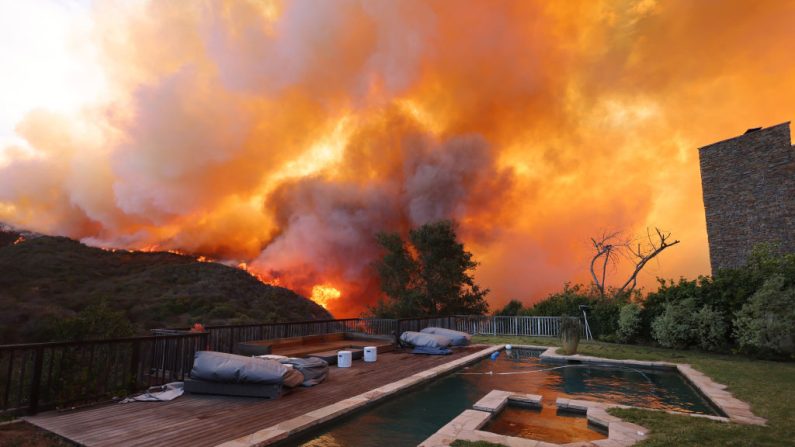 Un feu de broussailles brûle près de maisons à Pacific Palisades, Californie, le 7 janvier 2025. (Photo : DAVID SWANSON/AFP via Getty Images)