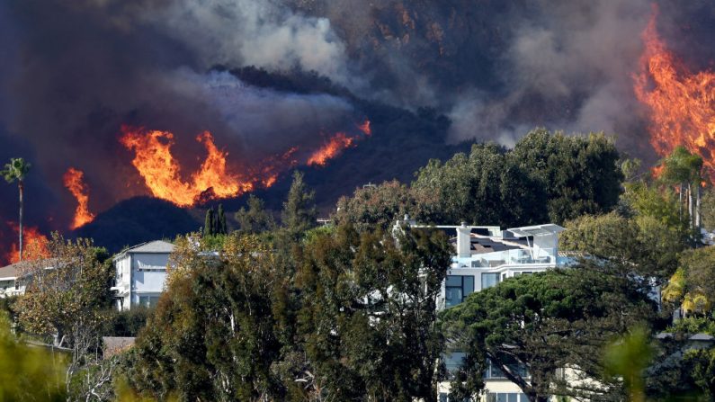 Les incendies font rage depuis le 7 janvier. (Photo : Mario Tama/Getty Images)