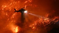 Incendies à Los Angeles : les images apocalyptiques d’une catastrophe dont le bilan grimpe à 16 morts