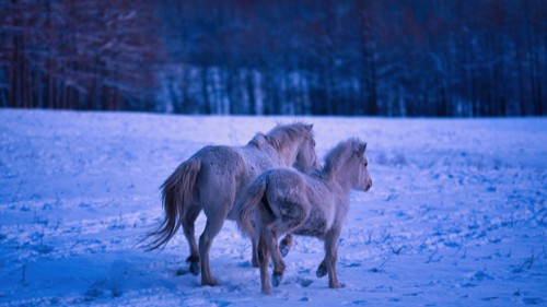 Illustration. (Crédit photo : shutterstock)