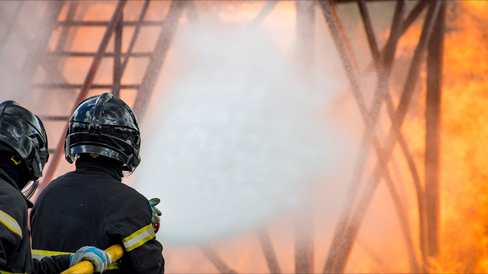 Dordogne : pas loin de la totalité d'un troupeau de moutons meurt dans l'incendie d'une grange