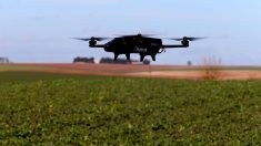 Drones, GPS, cyber-attaques : la technologie au service des agriculteurs